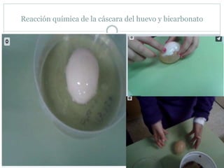 Reacción química de la cáscara del huevo y bicarbonato
 