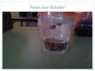 Pasas don flotador
 