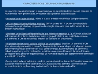 CARACTERÍSTICAS DE LAS DNA-POLIMERASAS
Las enzimas que desempeñan el papel principal en la síntesis de las nuevas cadenas de
ADN son las ADN-polimerasas. Presentan las siguientes características:
-Necesitan una cadena molde, frente a la cual enlazan nucleótidos complementarios.
-Utilizan desoxirribonucleósidos trifosfato (dATP, dGTP, dTTP, dCTP) cuya hidrólisis
(separación de pirofosfato) proporciona la energía necesaria para la formación de los
enlaces fosfodiéster.
-Sintetizan una cadena complementaria a la molde en dirección 5´-3´,es decir, catalizan
la formación de enlaces fosfodiéster entre el grupo fosfato 5´ del nucleótido entrante
y el extremo 3´OH del nucleótido anterior de la hebra en crecimiento.
-No pueden iniciar por sí solas la síntesis de una cadena, precisan un extremo 3´OH
libre, de un oligonucleótido o pequeño fragmento de cadena, al que unir el grupo fosfato
del primer nucleótido que colocan y así poder avanzar. Este fragmento se denomina
cebador o primer y, en la replicación, lo coloca una enzima RNA-pol llamada Primasa.
El cebador será pues un oligonucleótido de ARN que deberá ser posteriormente eliminado
y sustituído por ADN.
-Tienen actividad exonucleásica, es decir, pueden hidrolizar los nucleótidos terminales de
cualquier extremo de una cadena de ADN. Esta actividad permitirá la corrección de
errores durante la replicación y la eliminación de los cebadores de ARN.
 