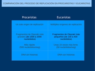 COMPARACIÓN DEL PROCESO DE REPLICACIÓN EN PROCARIOTAS Y EUCARIOTAS
Un solo origen de replicación Múltiples orígenes de replicación
Fragmentos de Okazaki más
grandes (de 1000 a 2000
nucleótidos)
Fragmentos de Okazaki más
pequeños (de 100 a 400
nucleótidos)
Más rápido
(500 nucleótidos/seg)
Unas 10 veces más lento
(50 nucleótidos/seg)
DNA sin histonas DNA con histonas
Procariotas Eucariotas
 