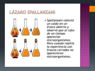 Experimentos Origen de la vida