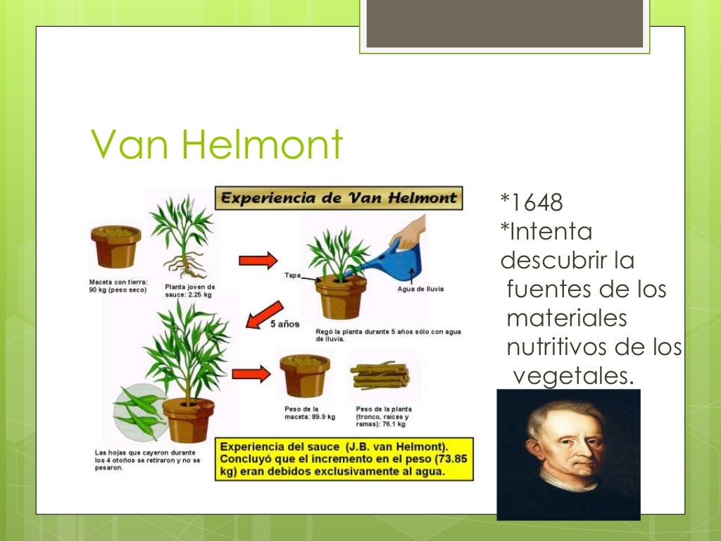 Van Helmont
*1648
*Intenta
descubrir la
fuentes de los
materiales
nutritivos de los
vegetales.
