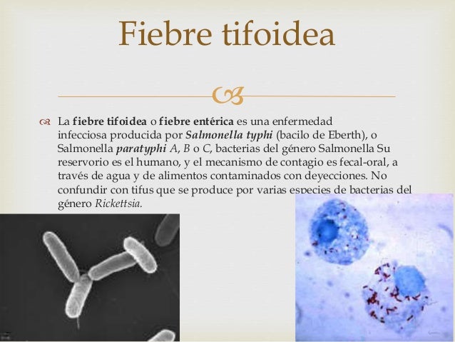 Experimento torricelli