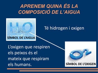 APRENEM QUINA ÉS LA
      COMPOSICIÓ DE L’AIGUA


                    Té hidrogen i oxigen
SÍMBOL DE L’AIGUA

L’oxigen que respiren
els peixos és el
mateix que respiram
els humans.                   SÍMBOL DE L’OXIGEN
 