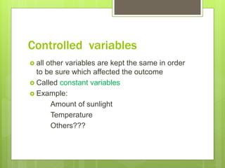 Experiment powerpoint | PPTX