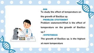 Experiment Result Effect of temperature on the growth of Bacillus Sp | PDF