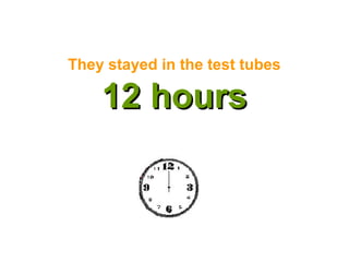 They stayed in the test tubes
12 hours12 hours
 