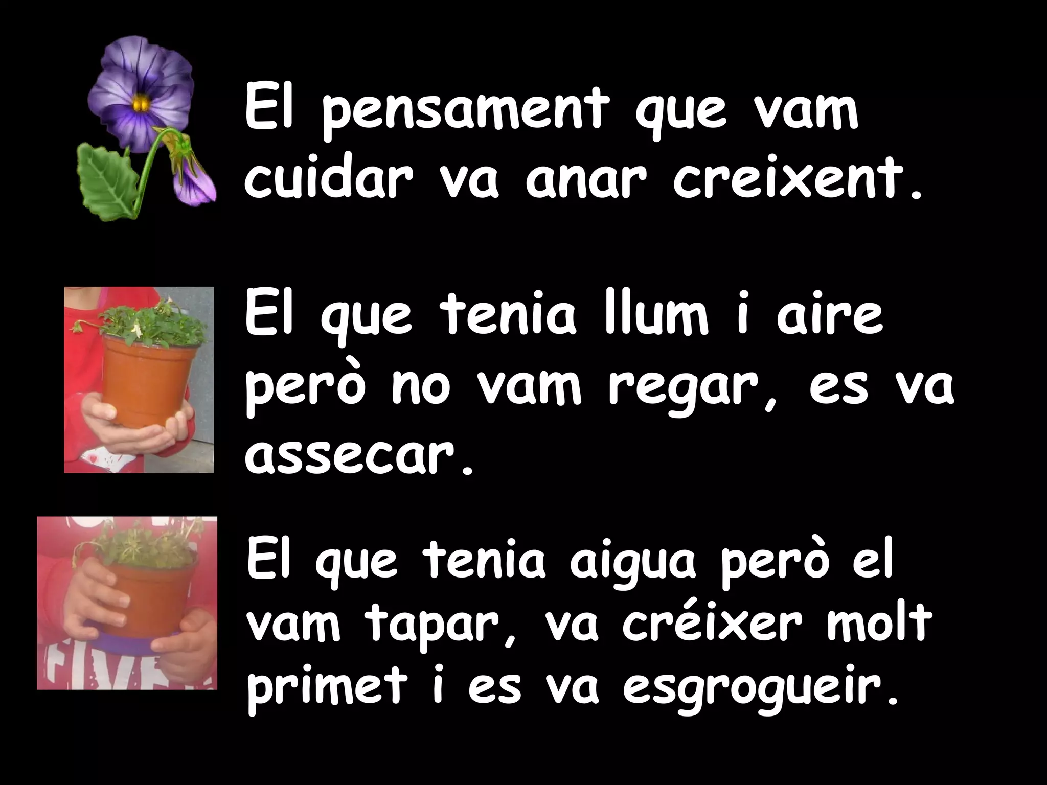 El pensament que vam
cuidar va anar creixent.
El que tenia llum i aire
però no vam regar, es va
assecar.
El que tenia aigua però el
vam tapar, va créixer molt
primet i es va esgrogueir.

 