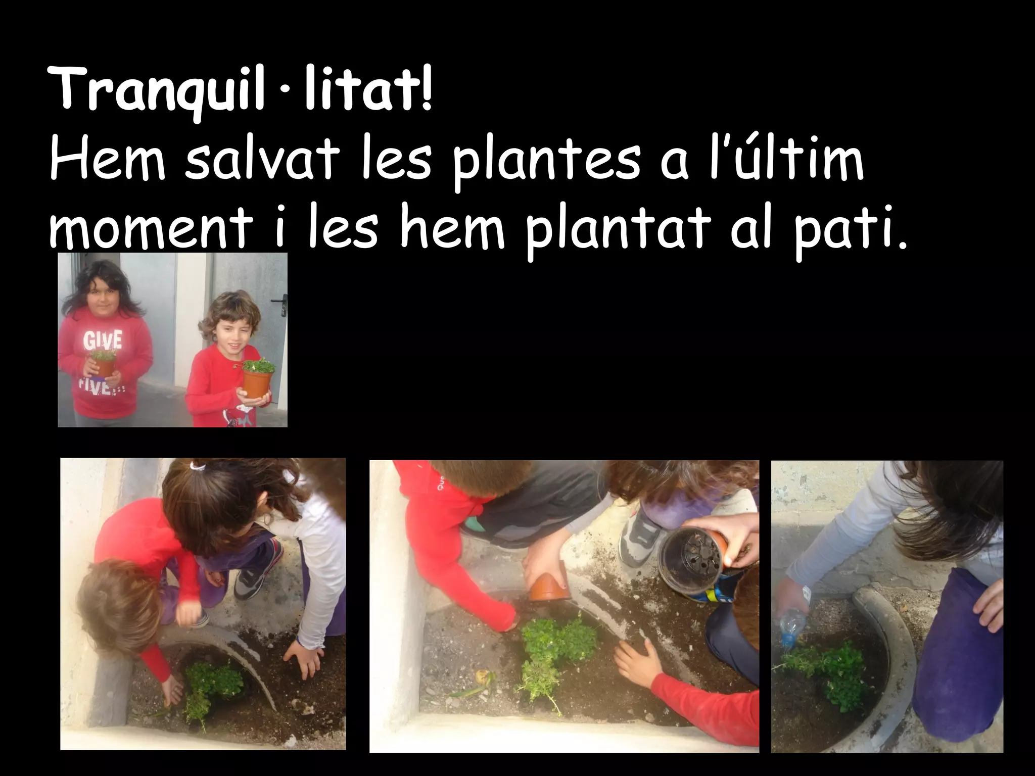 Tranquil·litat!
Hem salvat les plantes a l’últim
moment i les hem plantat al pati.

 