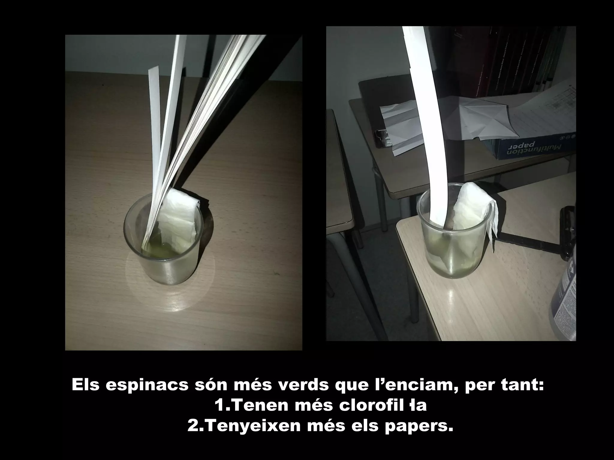 Els espinacs són més verds que l’enciam, per tant:
1.Tenen més clorofil·la
2.Tenyeixen més els papers.

 