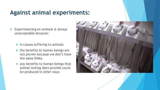 an analysis of the animal experimentation cases in australia Ethical issues in the use of animals in biomedical research richard r sharp, phd animal experimentation was now seen in a much less ambiguous way as a critically important tool in the war against human then why is it the case that animal experiences should be treated differently. an analysis of the animal experimentation cases in australia Ethical issues in the use of animals in biomedical research richard r sharp, phd animal experimentation was now seen in a much less ambiguous way as a critically important tool in the war against human then why is it the case that animal experiences should be treated differently.