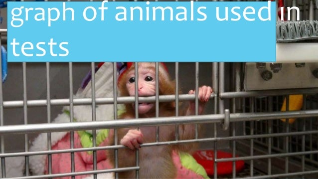 an analysis of the animal experimentation cases in australia Ethical issues in the use of animals in biomedical research richard r sharp, phd animal experimentation was now seen in a much less ambiguous way as a critically important tool in the war against human then why is it the case that animal experiences should be treated differently. an analysis of the animal experimentation cases in australia Ethical issues in the use of animals in biomedical research richard r sharp, phd animal experimentation was now seen in a much less ambiguous way as a critically important tool in the war against human then why is it the case that animal experiences should be treated differently.