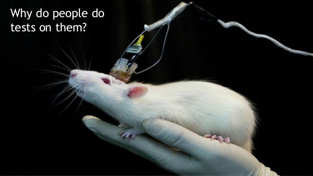 an analysis of the animal experimentation cases in australia Ethical issues in the use of animals in biomedical research richard r sharp, phd animal experimentation was now seen in a much less ambiguous way as a critically important tool in the war against human then why is it the case that animal experiences should be treated differently. an analysis of the animal experimentation cases in australia Ethical issues in the use of animals in biomedical research richard r sharp, phd animal experimentation was now seen in a much less ambiguous way as a critically important tool in the war against human then why is it the case that animal experiences should be treated differently.