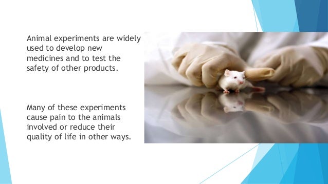 argument for animal testing Argumentative essay on animal rights essaysanimal testing is used to protect us humans from a wide range of chemicals and products, including drugs, vaccines, cosmetics, household cleaners, pesticides, foods, and packing materials. argument for animal testing Argumentative essay on animal rights essaysanimal testing is used to protect us humans from a wide range of chemicals and products, including drugs, vaccines, cosmetics, household cleaners, pesticides, foods, and packing materials.