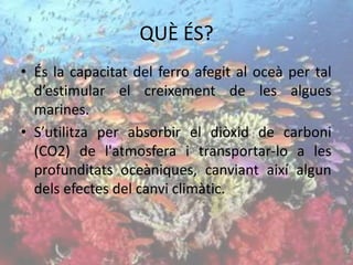 QUÈ ÉS?
• És la capacitat del ferro afegit al oceà per tal
d’estimular el creixement de les algues
marines.
• S’utilitza per absorbir el diòxid de carboni
(CO2) de l'atmosfera i transportar-lo a les
profunditats oceàniques, canviant així algun
dels efectes del canvi climàtic.
 