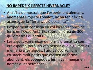 • Ara s'ha demostrat que l'experiment alemany,
anomenat Projecte Lohafex, no va tenir èxit a
aconseguir la “fertilització oceànica”.
• L’experiment consistia en col·locar sis tones de
ferro en l'Oceà Antàrtic, sobre un àrea de 300
quilòmetres quadrats.
• Les algues van créixer de forma dramàtica com
era esperat, però, no van pensar que algú més es
menjaria a les algues. I així va ocórrer, uns
crustacis molt petits que creixen de forma
abundant, els copèpodes, les hi van menjar en
només dues setmanes.
NO IMPEDEIX L’EFECTE HIVERNACLE?
…
 