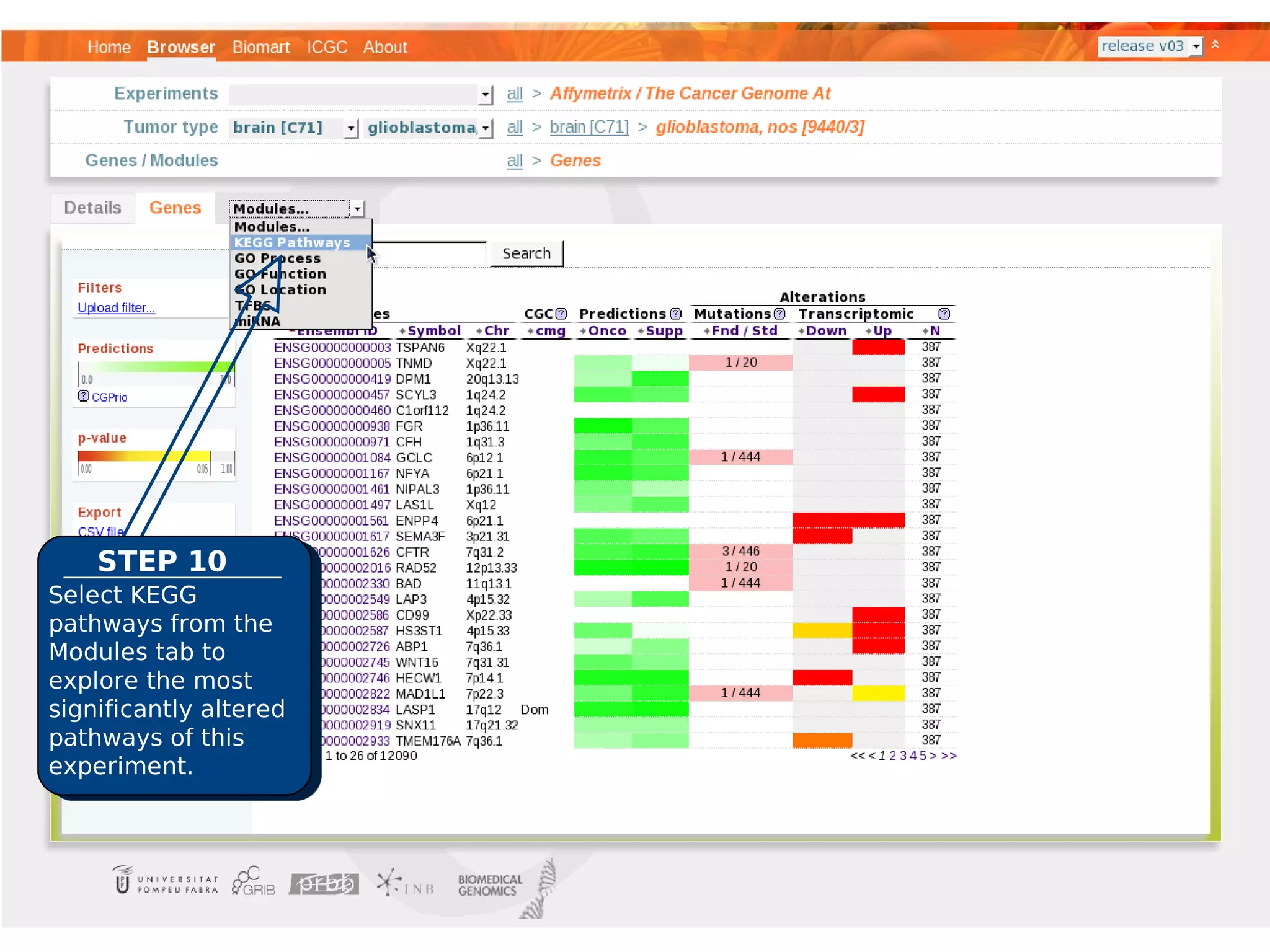 STEP 10
Select KEGG
pathways from the
Modules tab to
explore the most
significantly altered
pathways of this
experiment.
 