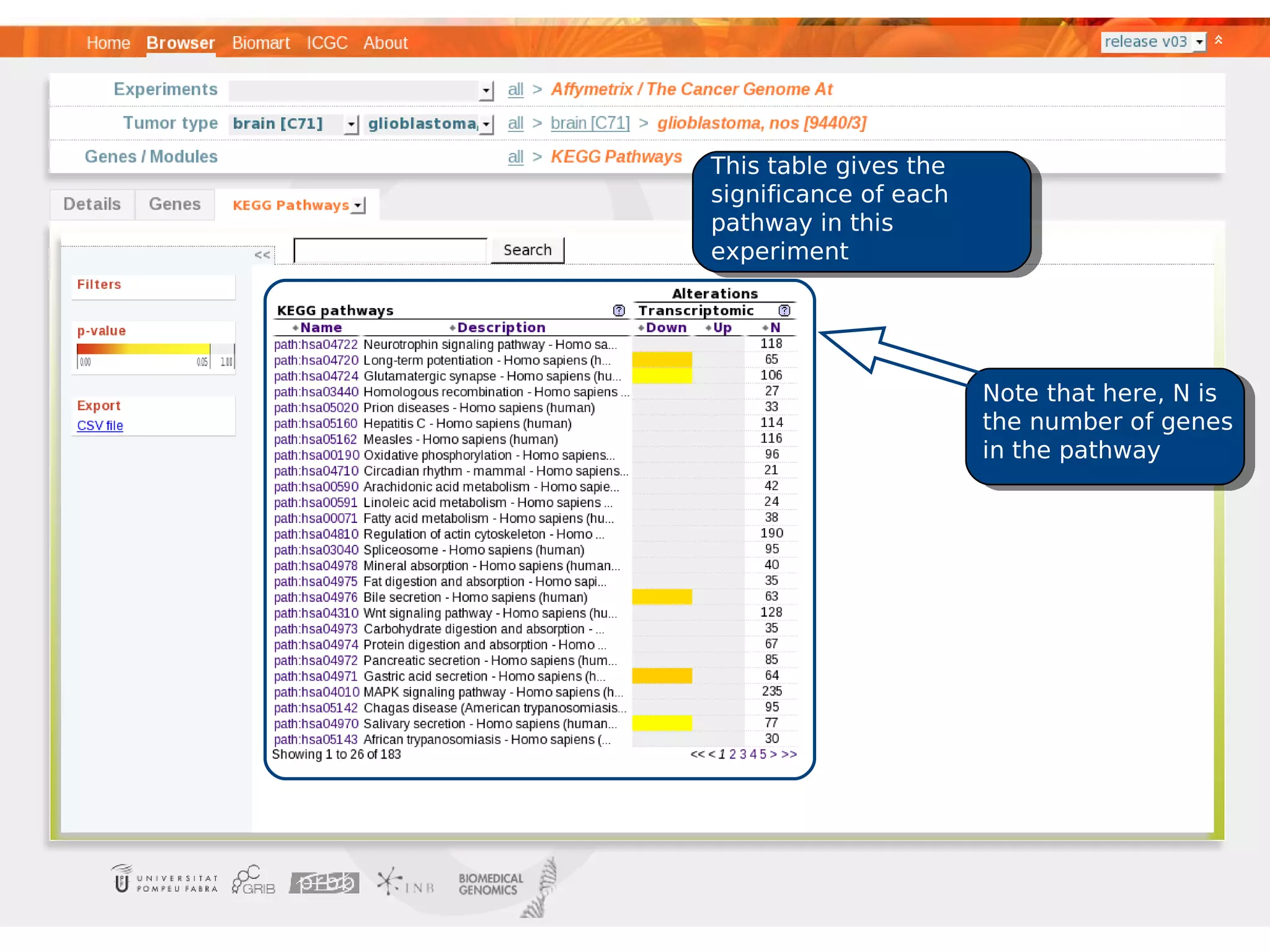 This table gives the
significance of each
pathway in this
experiment




                       Note that here, N is
                       the number of genes
                       in the pathway
 