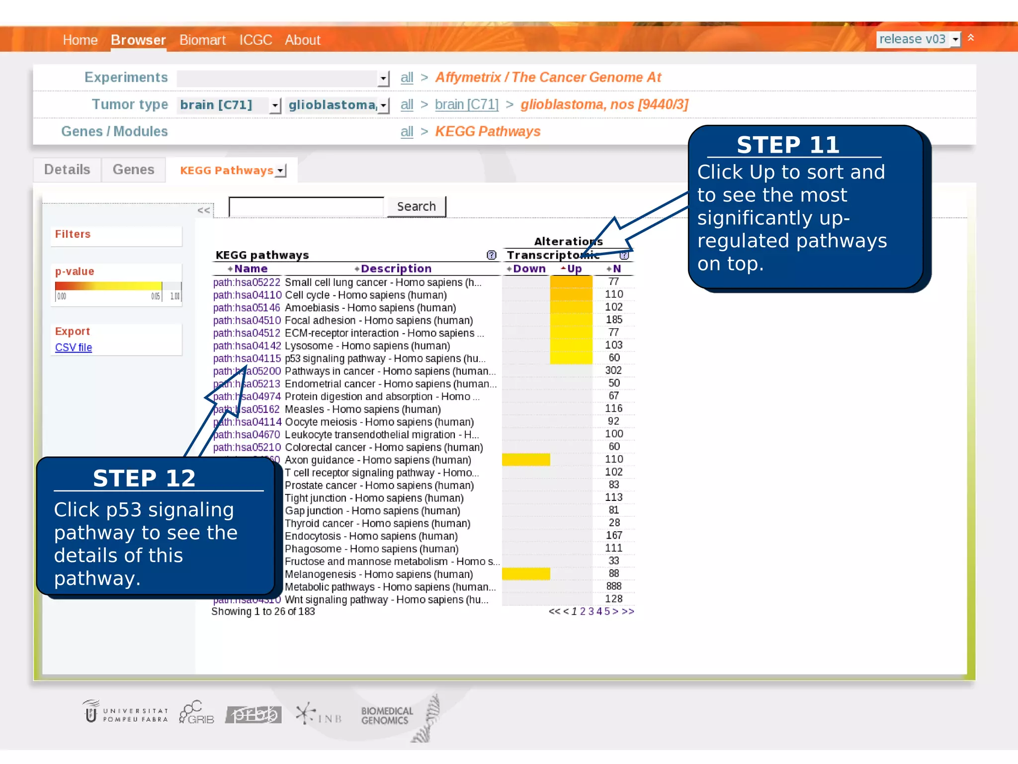 STEP 11
                      Click Up to sort and
                      to see the most
                      significantly up-
                      regulated pathways
                      on top.




   STEP 12
Click p53 signaling
pathway to see the
details of this
pathway.
 