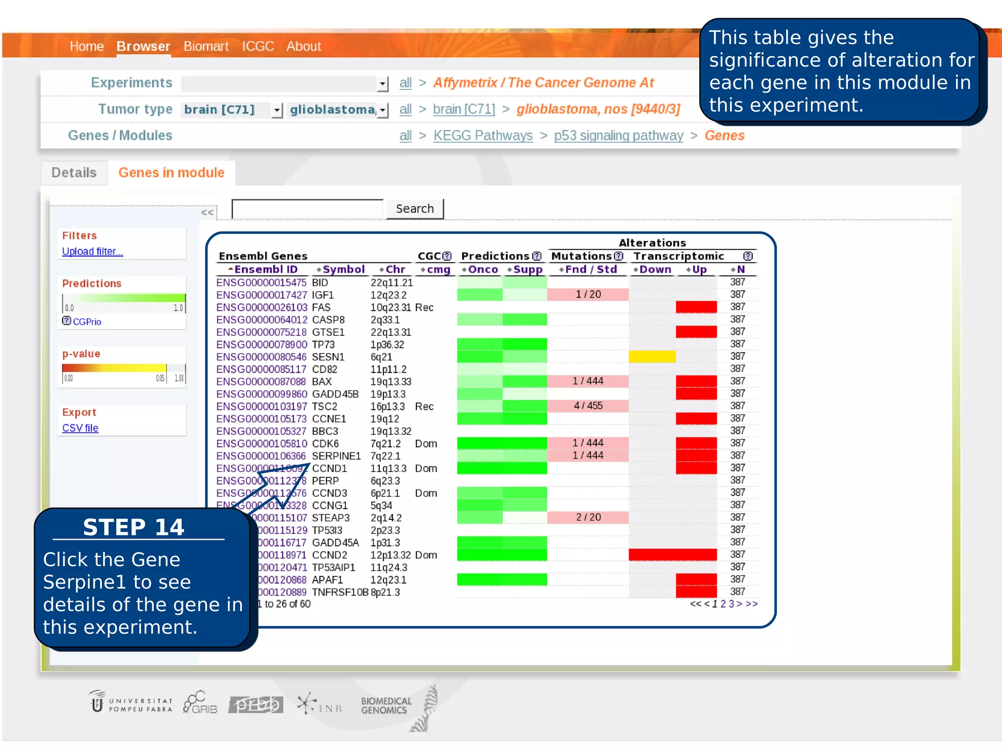 This table gives the
                         significance of alteration for
                         each gene in this module in
                         this experiment.




    STEP 14
Click the Gene
Serpine1 to see
details of the gene in
this experiment.
 