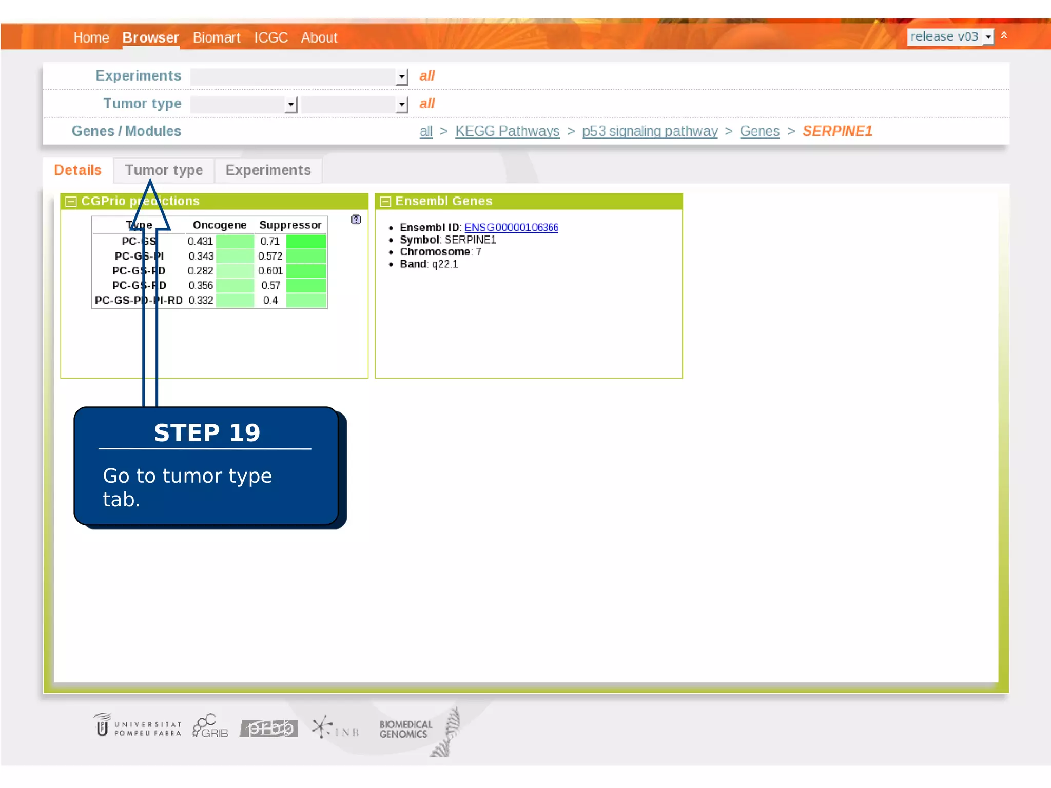 STEP 19
Go to tumor type
tab.
 