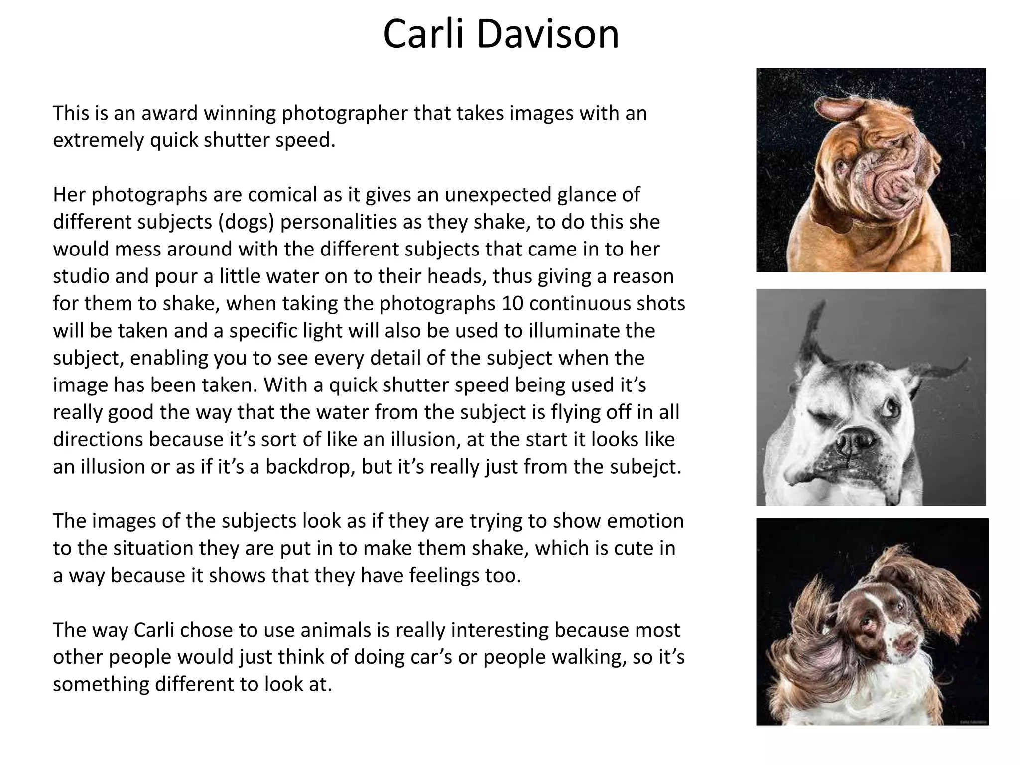 Carli Davison
This is an award winning photographer that takes images with an
extremely quick shutter speed.
Her photographs are comical as it gives an unexpected glance of
different subjects (dogs) personalities as they shake, to do this she
would mess around with the different subjects that came in to her
studio and pour a little water on to their heads, thus giving a reason
for them to shake, when taking the photographs 10 continuous shots
will be taken and a specific light will also be used to illuminate the
subject, enabling you to see every detail of the subject when the
image has been taken. With a quick shutter speed being used it’s
really good the way that the water from the subject is flying off in all
directions because it’s sort of like an illusion, at the start it looks like
an illusion or as if it’s a backdrop, but it’s really just from the subejct.
The images of the subjects look as if they are trying to show emotion
to the situation they are put in to make them shake, which is cute in
a way because it shows that they have feelings too.
The way Carli chose to use animals is really interesting because most
other people would just think of doing car’s or people walking, so it’s
something different to look at.

 