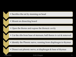 • Sacrifice the rat by stunning on head
• Mount on dissecting board
• Open the thorax and expose the thoracic cavity
• Cut the ribs from base of sternum, half thorax is cut & removed
• Identify the Phrenic nerve, running from diaphragm to thymus
• Dissect out phrenic nerve, at diaphragm & base of thymus
9 April 2015 9Dr.M. B. Bargade
 