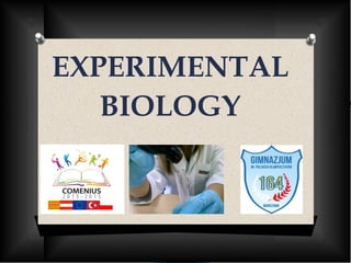EXPERIMENTAL
BIOLOGY
 