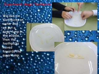 Experiment: Magic Toothpicks


We laid six
toothpicks on
water and
we put a
sugar lump in
the middle,
then the
toothpicks
moved
towards the
sugar lump.
 