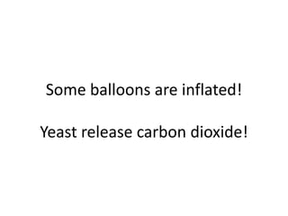 Some balloons are inflated!
Yeast release carbon dioxide!
 