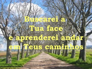 Buscarei a  Tua face e aprenderei andar em Teus caminhos 