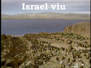 Israel viu 