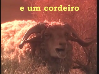 e um cordeiro 