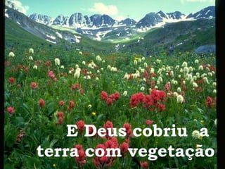 E Deus cobriu  a  terra com vegetação 