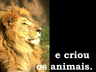 e criou  os animais. 