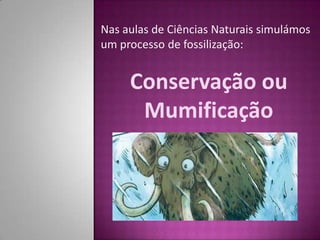 Nas aulas de Ciências Naturais simulámos um processo de fossilização:  Conservação ou Mumificação 