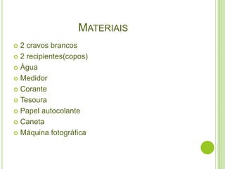 MATERIAIS
 2 cravos brancos
 2 recipientes(copos)

 Água

 Medidor

 Corante

 Tesoura

 Papel autocolante

 Caneta

 Máquina fotográfica
 