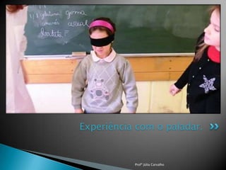 Experiência com o paladar.

Profª Júlia Carvalho

 