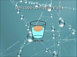 Um copo com água e sal 