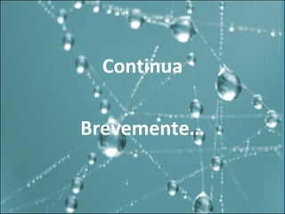 Continua Brevemente… 