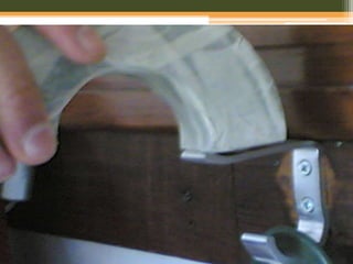 ExperiêNcias Com íManes   Plos Alunos