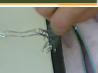 ExperiêNcias Com íManes   Plos Alunos