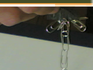 ExperiêNcias Com íManes   Plos Alunos