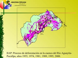 Z
E
E
AMAZONIA PERUANA
Base para el ...
... Ordenamiento Territorial
IIAP: Proceso de deforestación en la cuenca del Río Aguaytía-
Pucallpa, años 1955, 1974, 1981, 1989, 1995, 2000.
 
