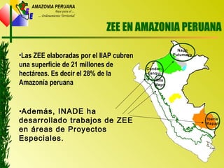 Z
E
E
AMAZONIA PERUANA
Base para el ...
... Ordenamiento Territorial
ZEE EN AMAZONIA PERUANA
•Las ZEE elaboradas por el IIAP cubren
una superficie de 21 millones de
hectáreas. Es decir el 28% de la
Amazonía peruana
Napo
Putumayo
Condor-
canqui
Alto
Mayo
Iberia
Iñapari
•Además, INADE ha
desarrollado trabajos de ZEE
en áreas de Proyectos
Especiales.
 