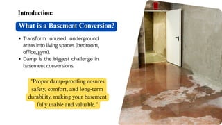 Expert Basement and Cellar Conversions You Can Trust | PDF