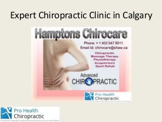 Expert Chiropractic Clinic in Calgary
 