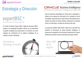 TENEMOS LA SOLUCIÓN
                                                                                                                                 CUADROS DE MANDO PARA DIRECTIVOS




Estrategia y Dirección
                                                                                           Suite de soluciones desarrollada por Oracle para la explotación y
                                                                                           análisis de los sistemas de información de la compañía de forma
                                                                                           consolidada, proporcionando al cuadro directivo herramientas para la
                                                                                           creación de cuadros de mando analíticos, elaboración de consultas
                                                                                           ad-hoc a la información y el diseño de informes de alto nivel.

El Cuadro de Mando integral (CMI) o Balanced Scorecard (BSC),
basado en la metodología de Kaplan y Norton, es una herramienta                            Le ofrecemos EXPERT ANALYTICS® módulo de la suite ERP que

de gestión estratégica que proporcionará a la Dirección una visión                         utilizando la herramienta de Oracle Business Intelligence, le

integrada del cumplimiento de los objetivos estratégicos de la                             proporciona la explotación de la información operacional en Cuadros

empresa, en base a indicadores                                                             de Mando para facilitar la toma de decisiones del equipo directivo.




Convierta su                                                                                 Visión 360º
Estrategia en Acción                                                                         de su
                                                                                             negocio


                                        DATADEC Tel: +34 902 48 10 48 comercial@datadec.es www.datadec.es / www.ddol.es
 