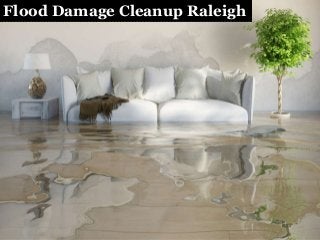 Flood Damage Cleanup Raleigh
 