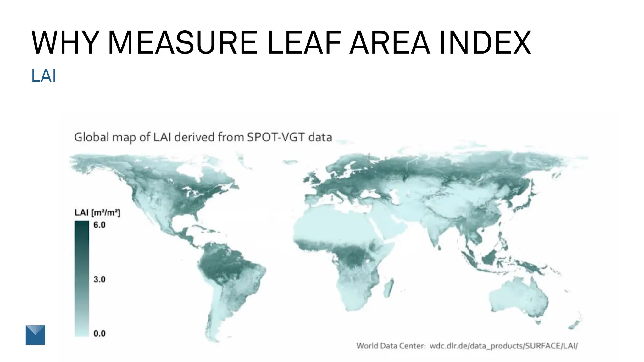 The Complete Guide to Leaf Area Index | PDF